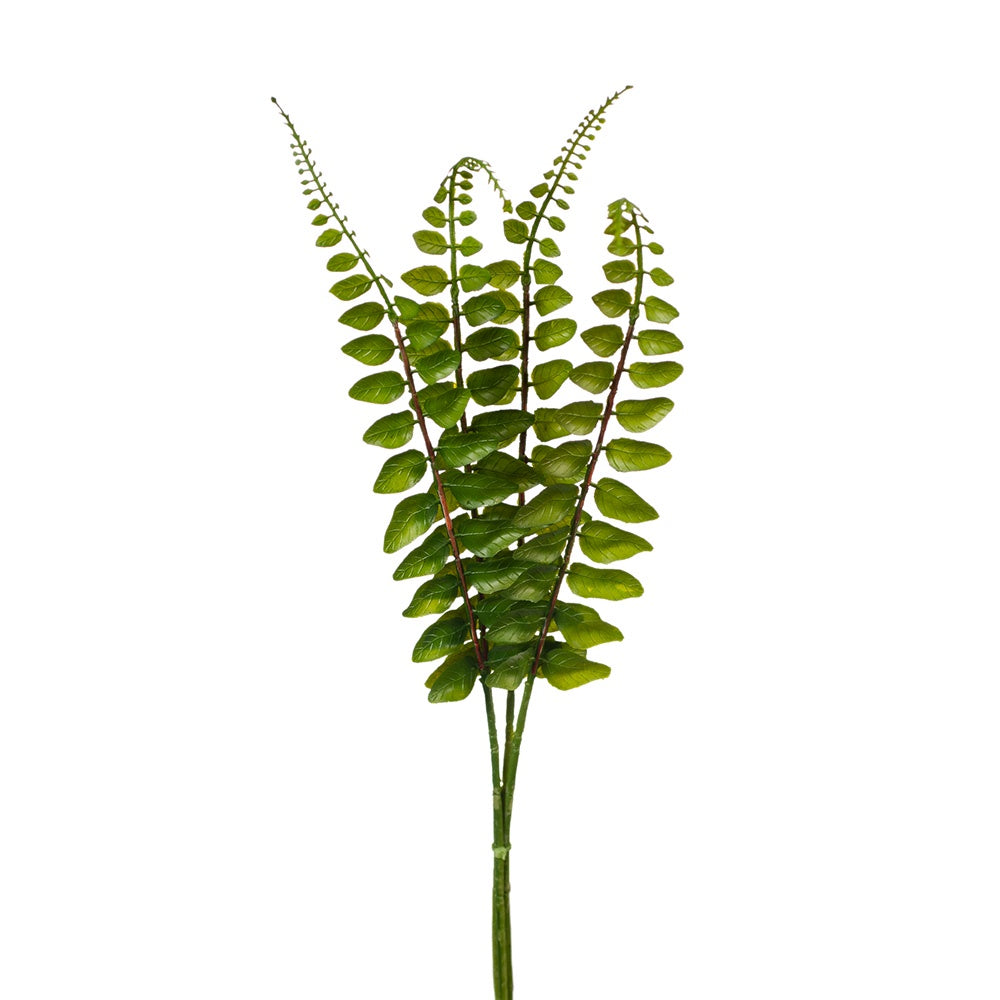 Fern Jewel Bundle