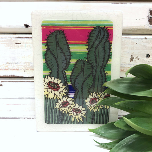 Medi Woodblock - Spiral Cactus