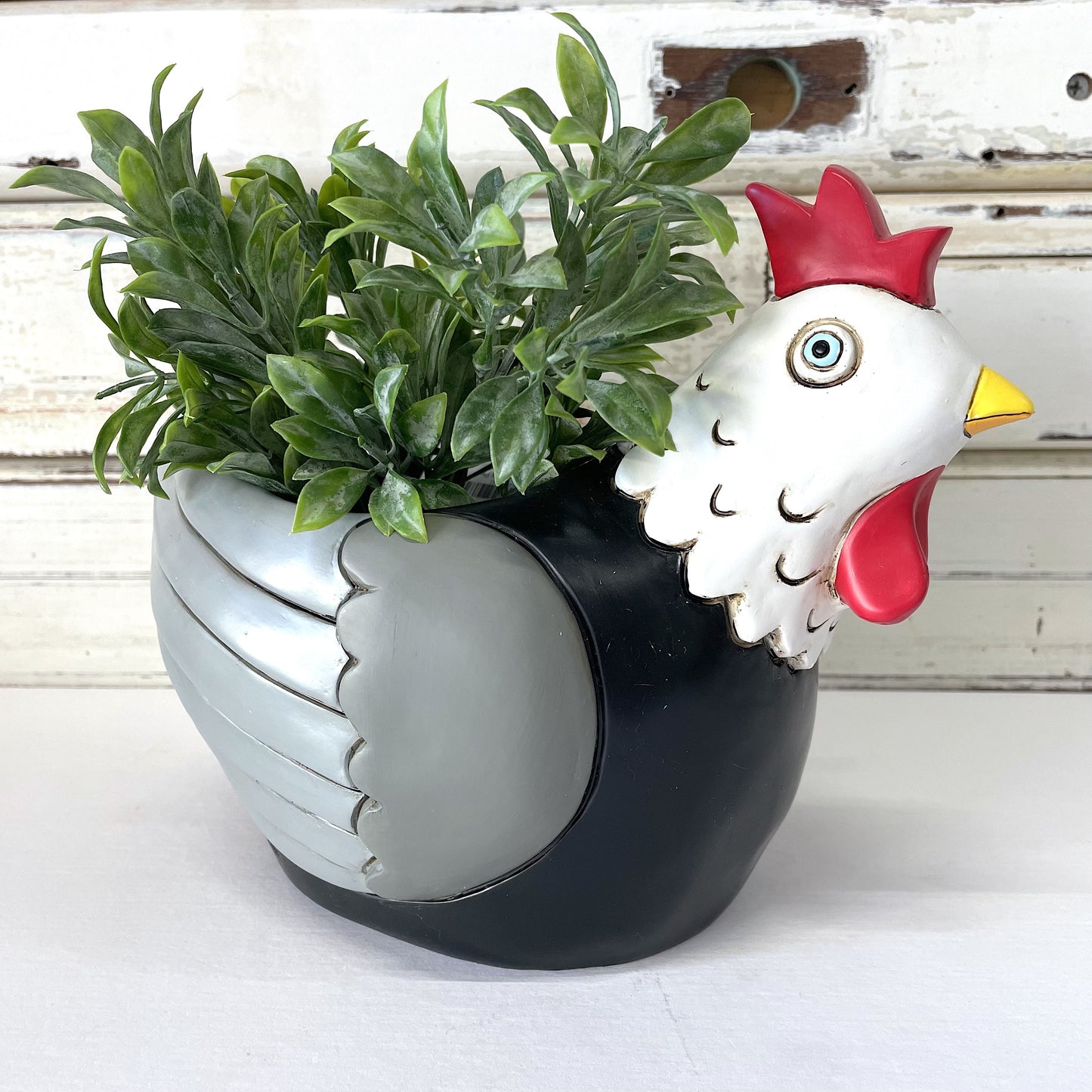 A decorative chicken-shaped planter with a black and white body and a red comb, filled with green plants, Allen Designs | Chicken Planter