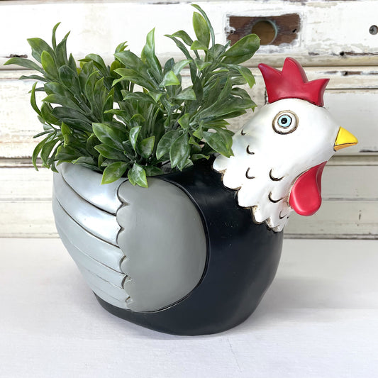 A decorative chicken-shaped planter with a black and white body and a red comb, filled with green plants, Allen Designs | Chicken Planter