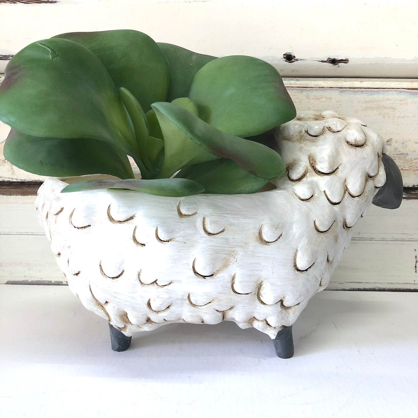 Black Sheep Planter