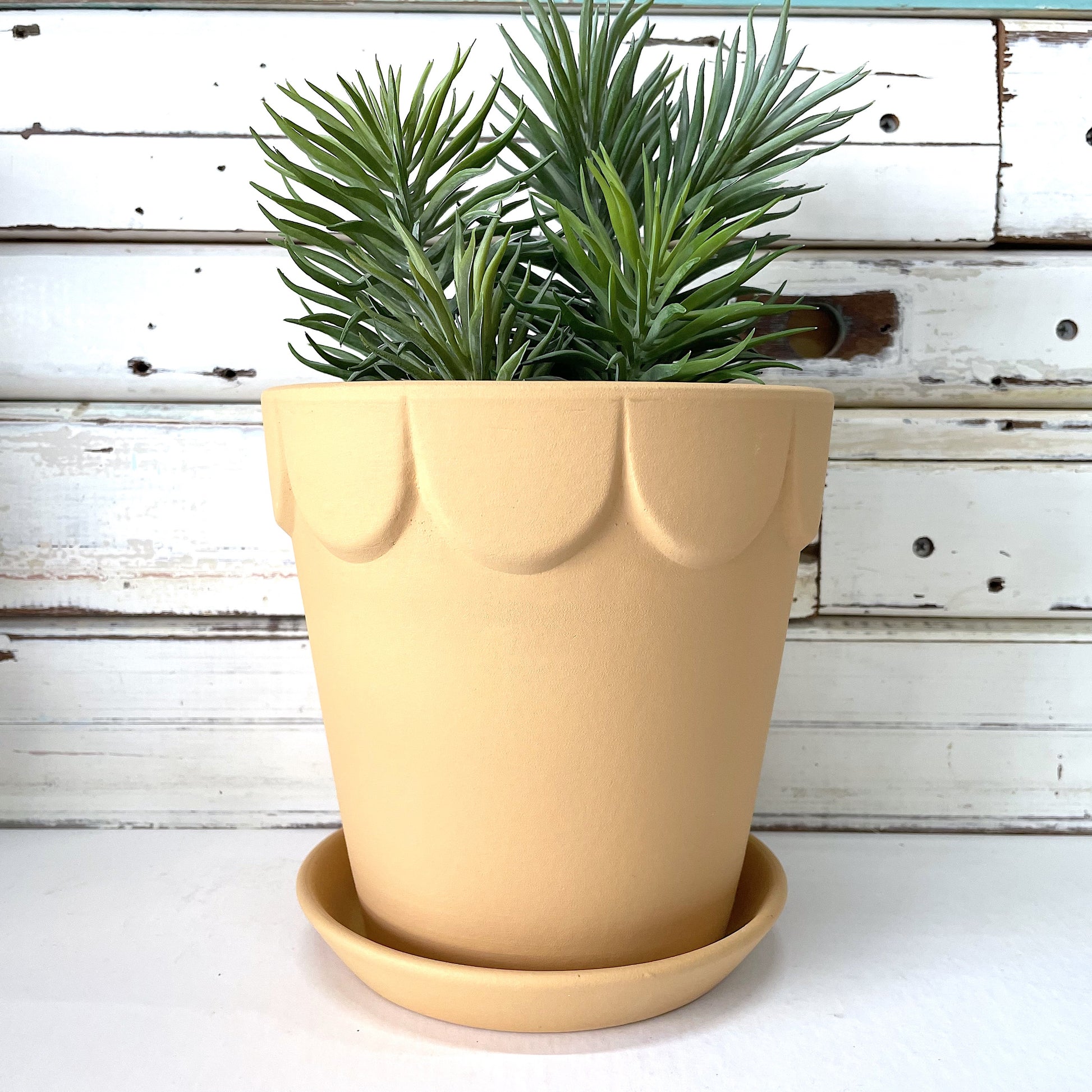JONES AND CO PLANTER AND TRAY
