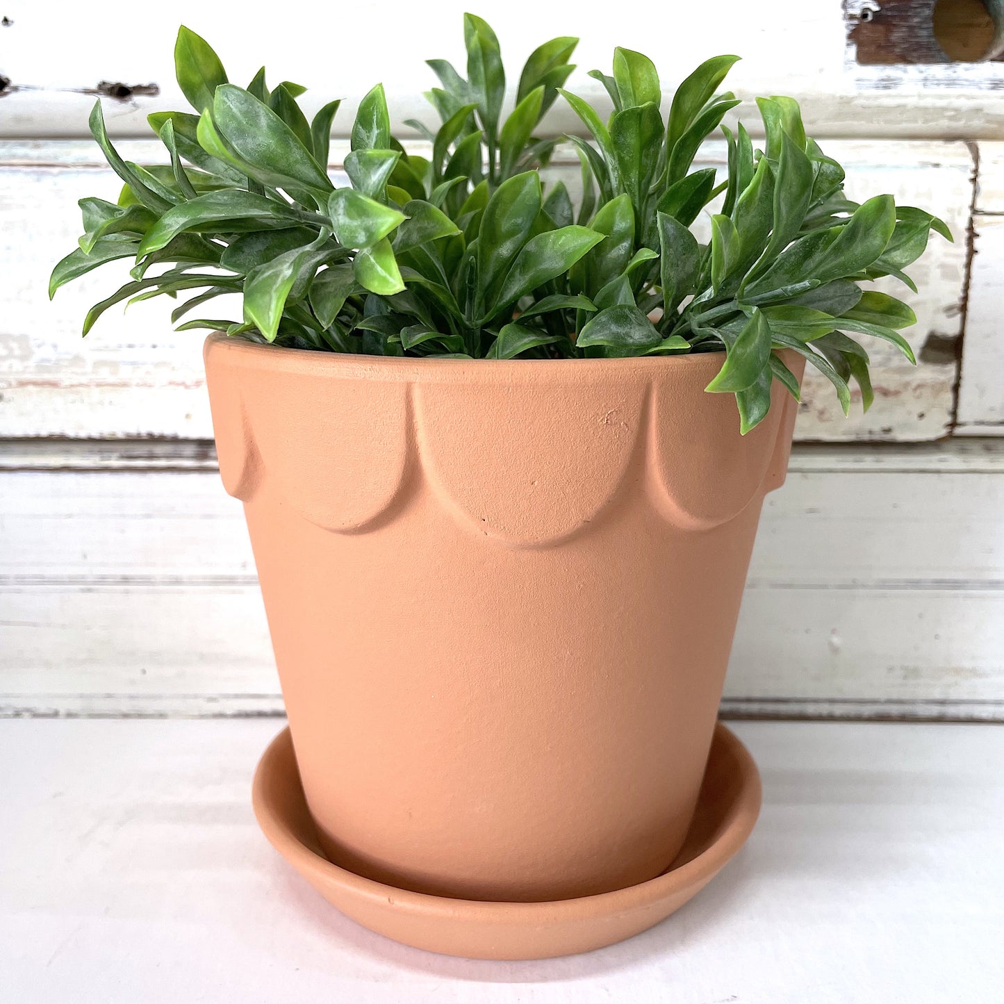 JONES AND CO PLANTER AND TRAY