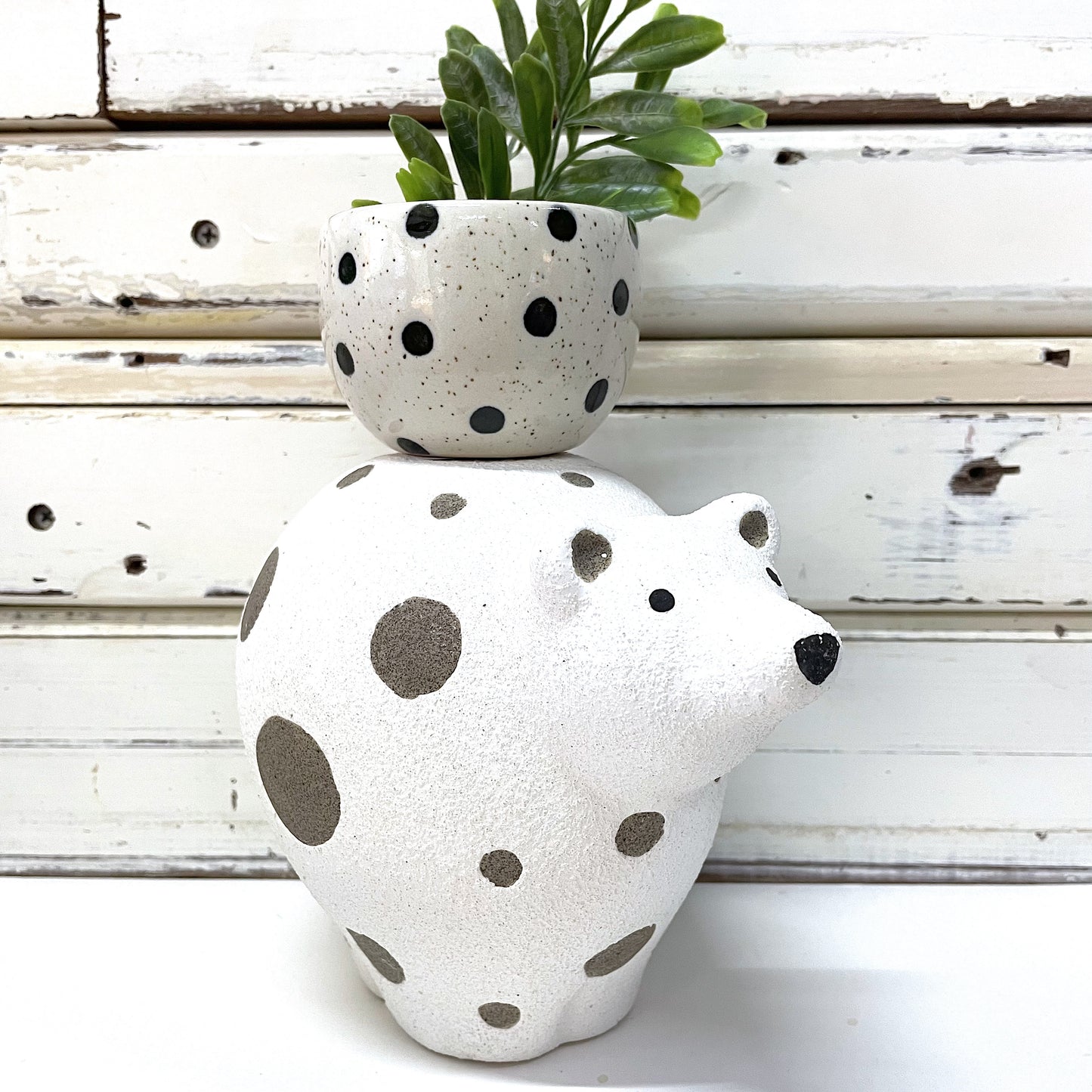 A ceramic bear-shaped planter with gray polka dots, JONES AND CO Eric The Bear