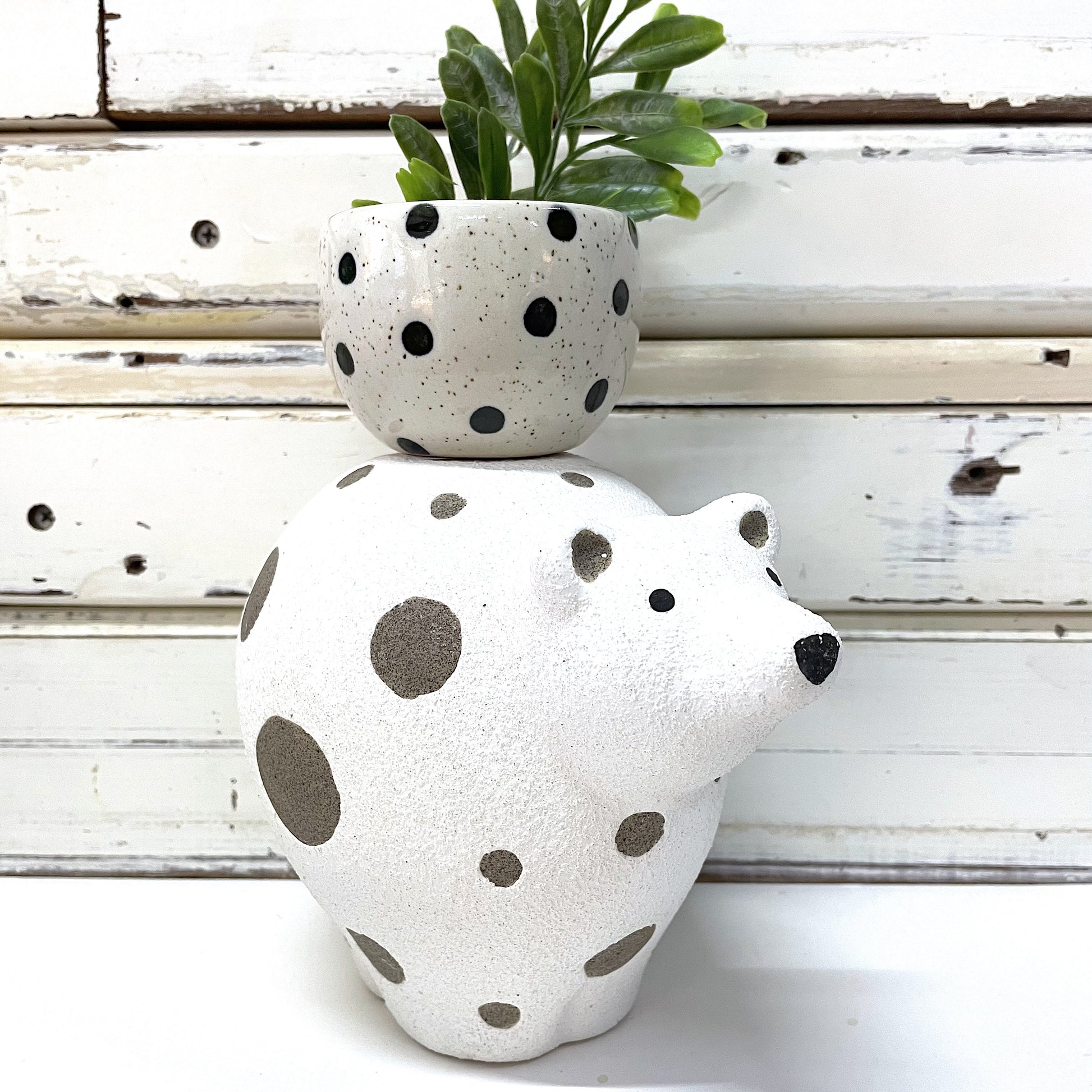 A ceramic bear-shaped planter with gray polka dots, JONES AND CO Eric The Bear